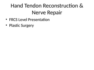 Comprehensive Guide to Hand Tendon Reconstruction and Nerve Repair ...