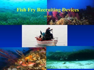 Fish Fry Recruiting Devices
(HCMR)
 