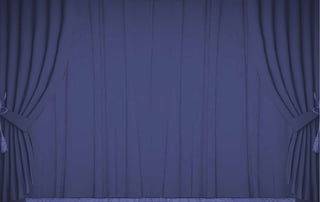 1,810  2,010 Segundo centenario de su natalicio  The second centenary of his birthday 