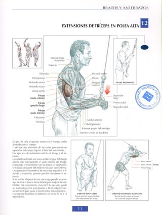 Guía de los movimientos de musculación - descripción anatómica (Frédérik Delavier)