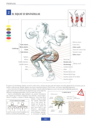 Guía de los movimientos de musculación - descripción anatómica (Frédérik Delavier)
