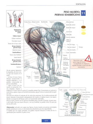 Frédérik delavier   guía de los movimientos de musculación - descripción anatómica (4a edición)