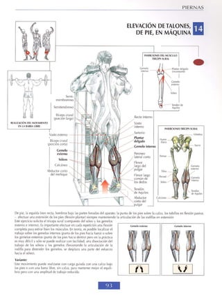 Frédérik delavier   guía de los movimientos de musculación - descripción anatómica (4a edición)