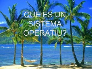 QUE ES UN
 SISTEMA
OPERATIU?
 