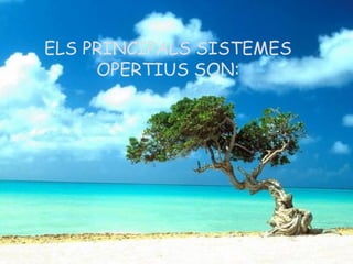 ELS PRINCIPALS SISTEMES
     OPERTIUS SON:
 