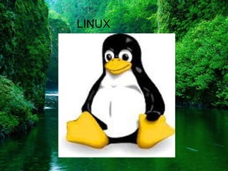 LINUX
 