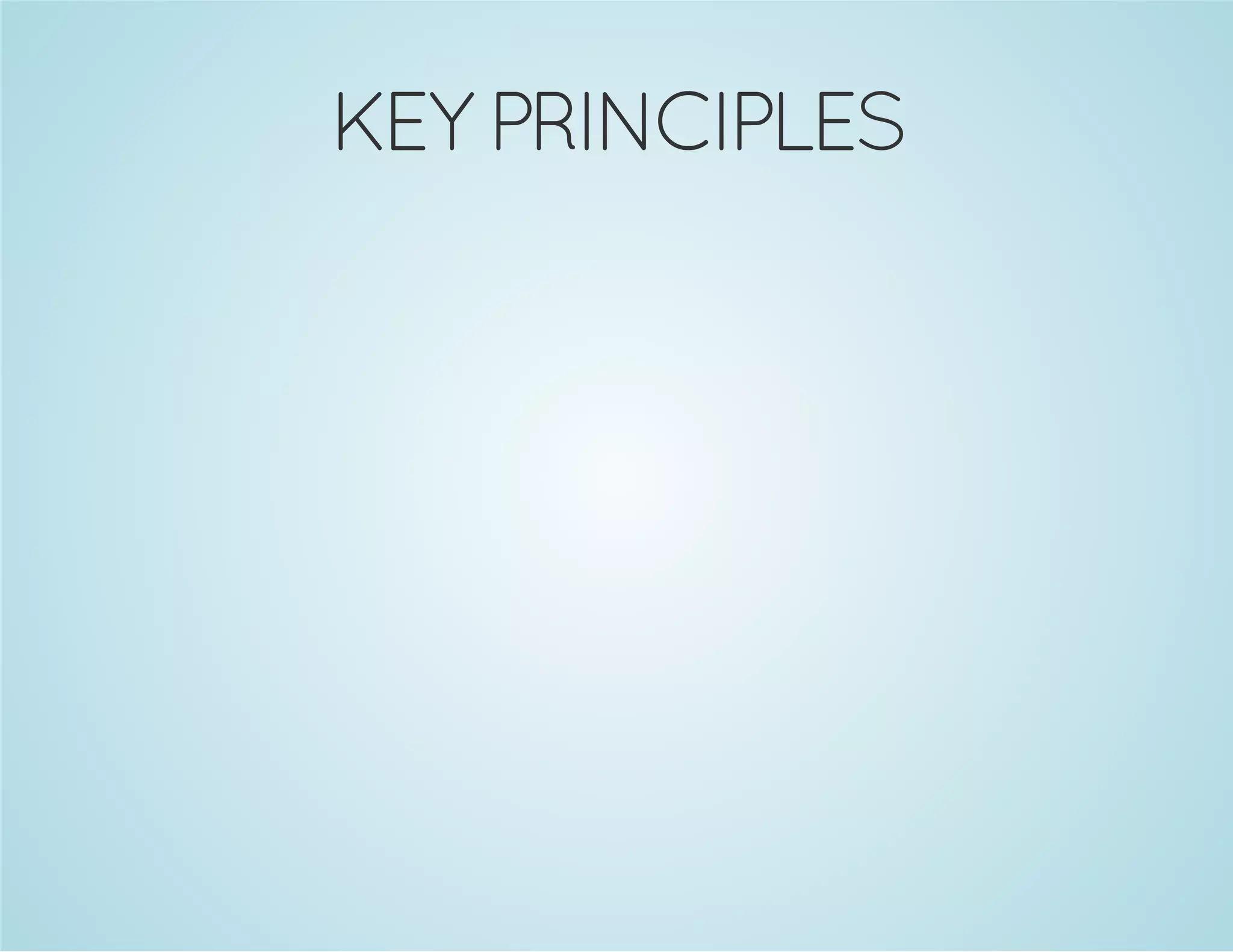 KEY PRINCIPLES
 