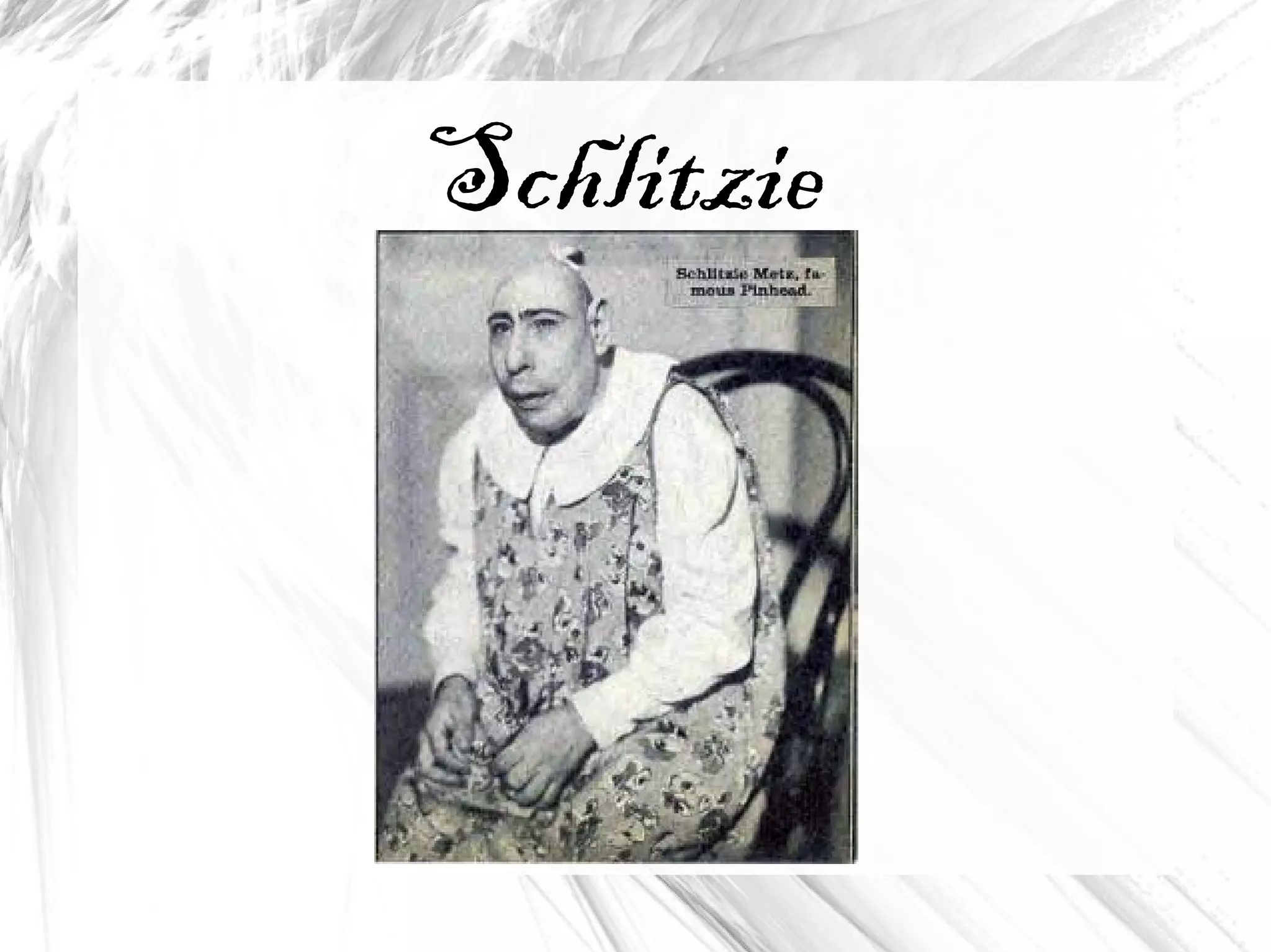 Schlitzie
 