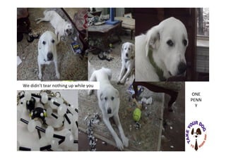 One Penny
We didn’t tear nothing up while you
were at work.
ONE
PENN
Y
 