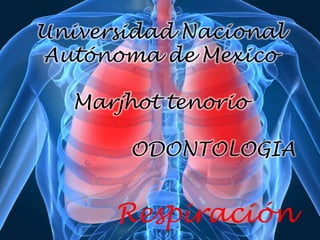 Respiración
Universidad Nacional
Autónoma de Mexico
Marjhot tenorio
ODONTOLOGIA
 