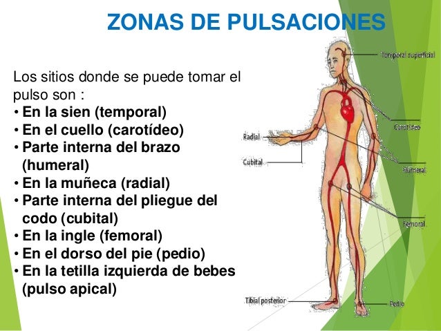 FRECUENCIA CARDÍACA Y ENTRENAMIENTO