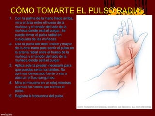 Pulso Triangular frecuencia cardiaca y frecuencia respiratoria .ppt