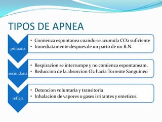 TIPOS DE APNEA
primaria
• Comienza espontanea cuando se acumula CO2 suficiente
• Inmediatamente despues de un parto de un R.N.
secundaria
• Respiracion se interrumpe y no comienza espontaneam.
• Reduccion de la absorcion O2 hacia Torrente Sanguineo
refleja
• Detencion voluntaria y transitoria
• Inhalacion de vapores o gases irritantes y emeticos.
 