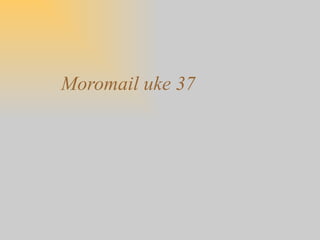 Moromail uke 37 