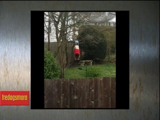 Fredagsmoro uke 18 2012