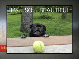 Fredagsmoro uke 25 2012