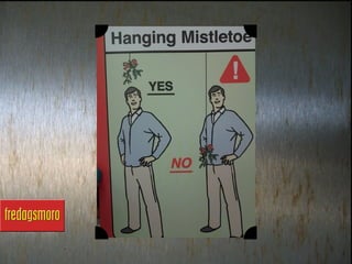 Fredagsmoro uke 50 2012