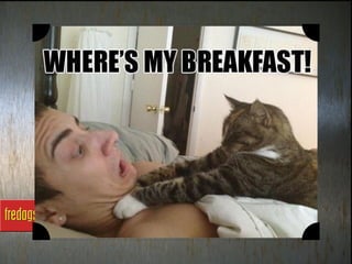 Fredagsmoro uke 50 2012