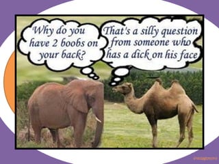 Fredagsmoro uke 7 2012