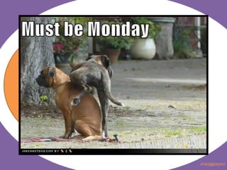 Fredagsmoro uke 7 2012