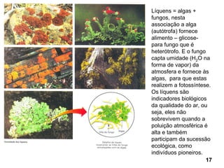 Líquens = algas +
fungos, nesta
associação a alga
(autótrofa) fornece
alimento – glicose-
para fungo que é
heterótrofo. E o fungo
capta umidade (H2O na
forma de vapor) da
atmosfera e fornece às
algas, para que estas
realizem a fotossíntese.
Os líquens são
indicadores biológicos
da qualidade do ar, ou
seja, eles não
sobrevivem quando a
poluição atmosférica é
alta e também
participam da sucessão
ecológica, como
indivíduos pioneiros.
                       17
 