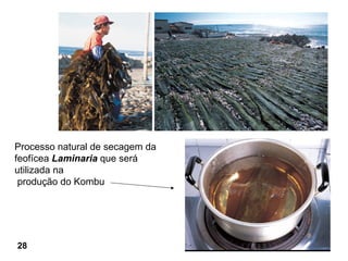 Processo natural de secagem da
feofícea Laminaria que será
utilizada na
 produção do Kombu




28
 