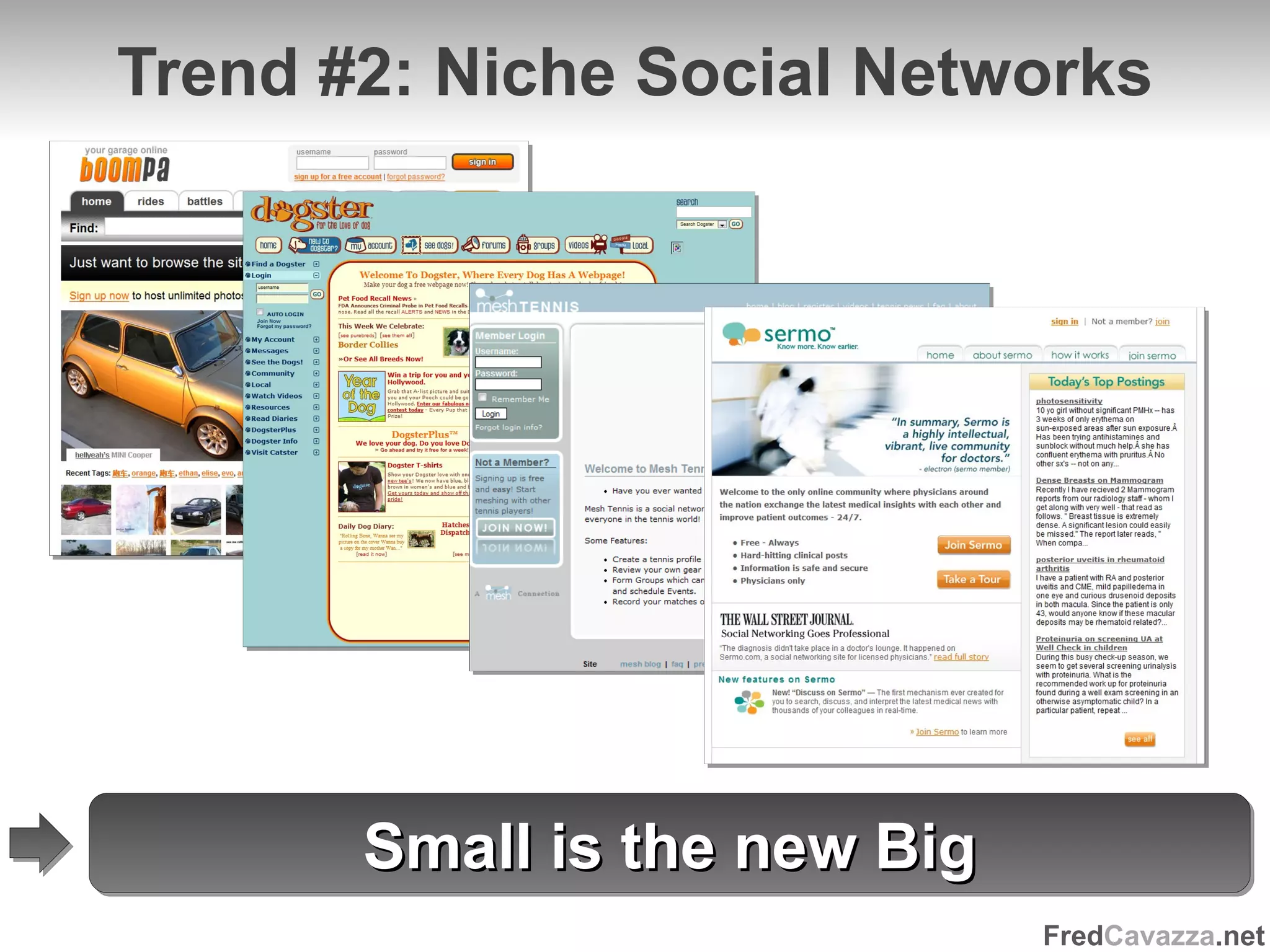 Trend #2: Niche Social Networks Small is the new Big 