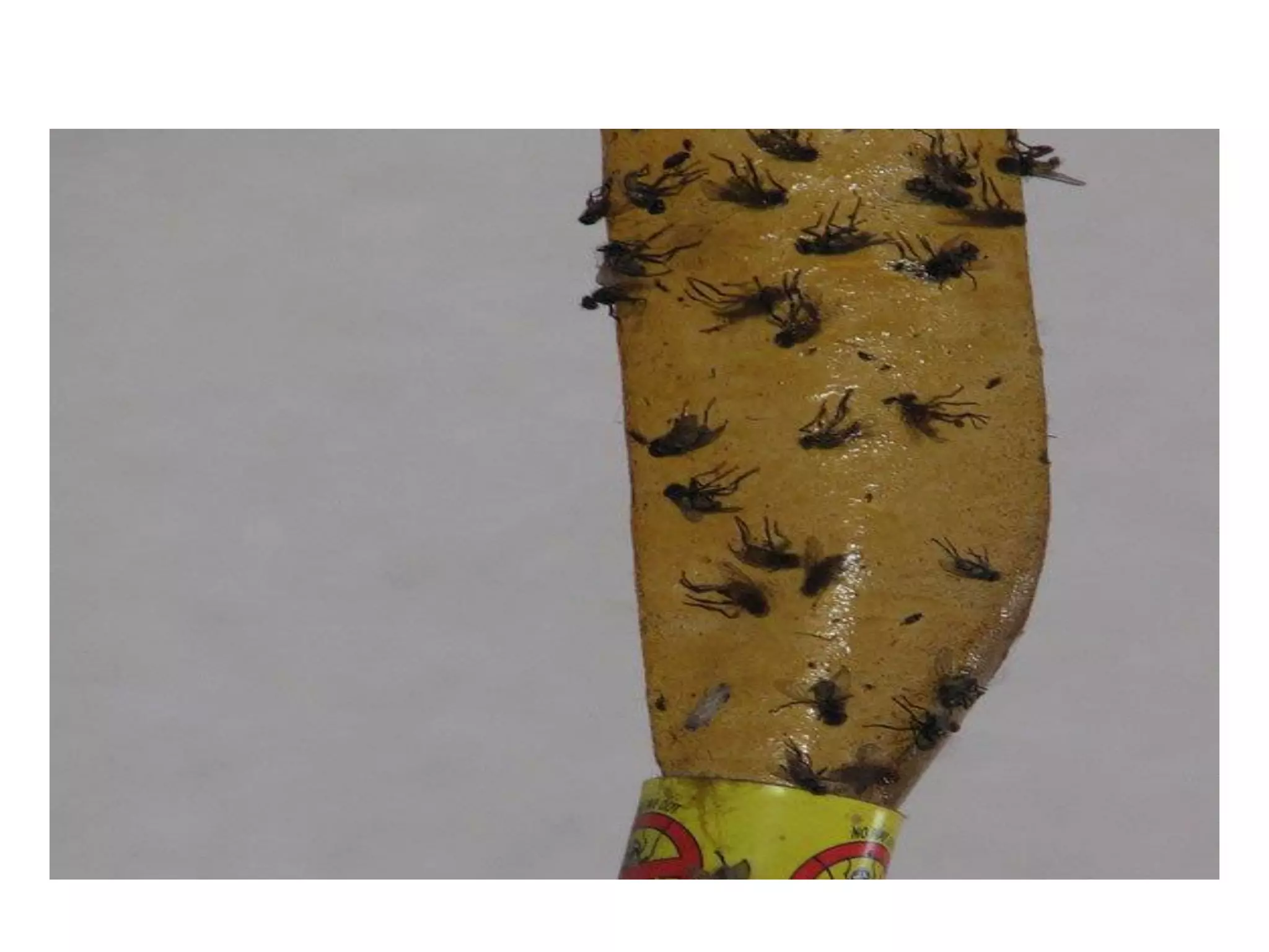 ‘It is through the workings of entire systems of social relationships that any
changes in behaviours........ are effected – therefore rarely is the same
programme equally effective in all circumstances’.



 sports as sites for socialisation experiences, not causes of
 socialisation outcomes.’   Coakley




        There is nothing as practical as a good theory
 