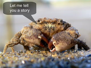 Let me tell  you a story 