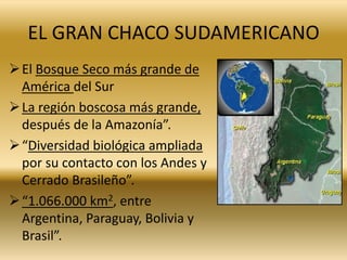 EL GRAN CHACO SUDAMERICANO
El Bosque Seco más grande de
América del Sur
La región boscosa más grande,
después de la Amaz...