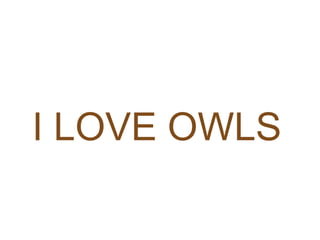 I LOVE OWLS
 