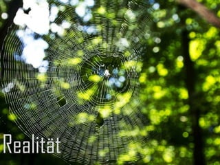 Realität
 