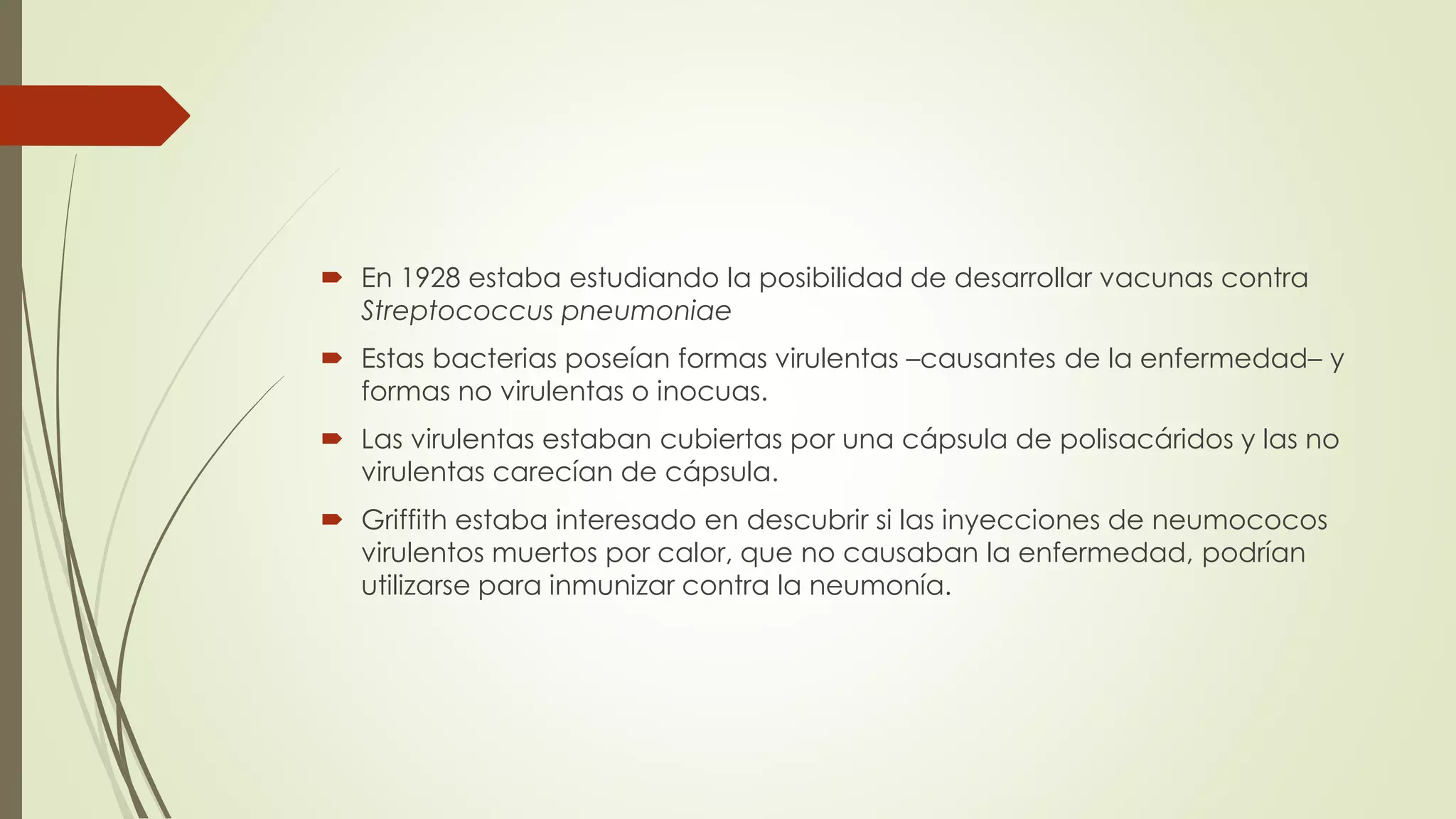  En 1928 estaba estudiando la posibilidad de desarrollar vacunas contra
Streptococcus pneumoniae
Estas bacterias poseían formas virulentas –causantes de la enfermedad– y
formas no virulentas o inocuas.
Las virulentas estaban cubiertas por una cápsula de polisacáridos y las no
virulentas carecían de cápsula.
Griffith estaba interesado en descubrir si las inyecciones de neumococos
virulentos muertos por calor, que no causaban la enfermedad, podrían
utilizarse para inmunizar contra la neumonía.