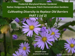 PART 1 (of 2) Frederick Maryland Master Gardener Native Hedgerow & Pawpaw Patch Demonstration Gardens