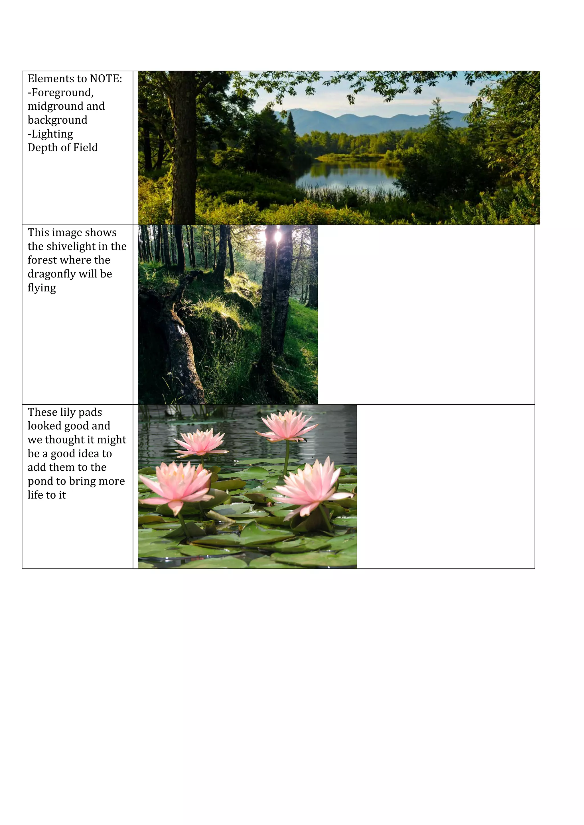  
	
  
Elements	
  to	
  NOTE:	
  
-­‐Foreground,	
  
midground	
  and	
  
background	
  
-­‐Lighting	
  
Depth	
  of	
  Field	
  
	
  
	
  
This	
  image	
  shows	
  
the	
  shivelight	
  in	
  the	
  
forest	
  where	
  the	
  
dragonfly	
  will	
  be	
  
flying	
  
	
  
These	
  lily	
  pads	
  
looked	
  good	
  and	
  
we	
  thought	
  it	
  might	
  
be	
  a	
  good	
  idea	
  to	
  
add	
  them	
  to	
  the	
  
pond	
  to	
  bring	
  more	
  
life	
  to	
  it	
  
	
  
 