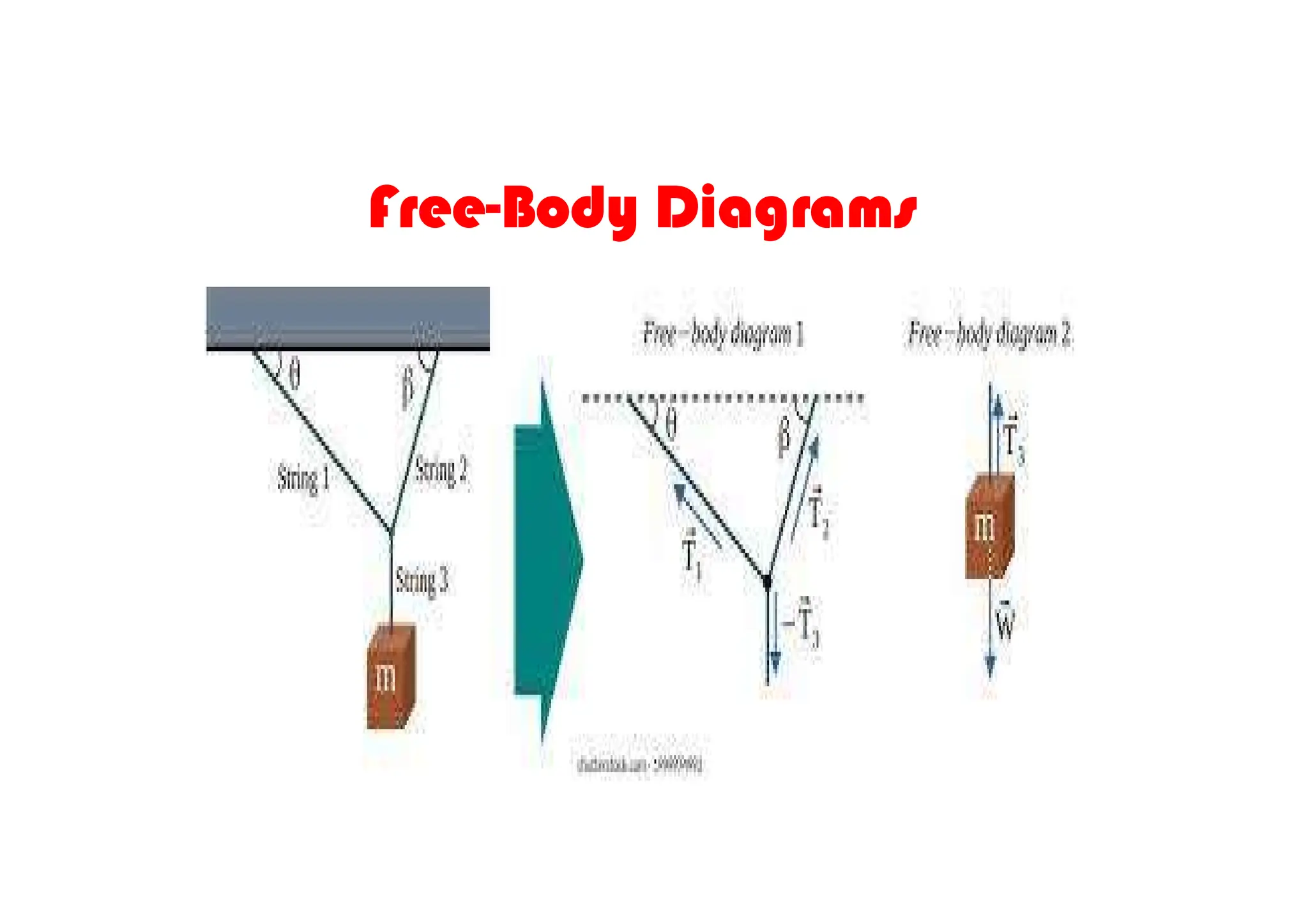 Free-Body Diagrams
 