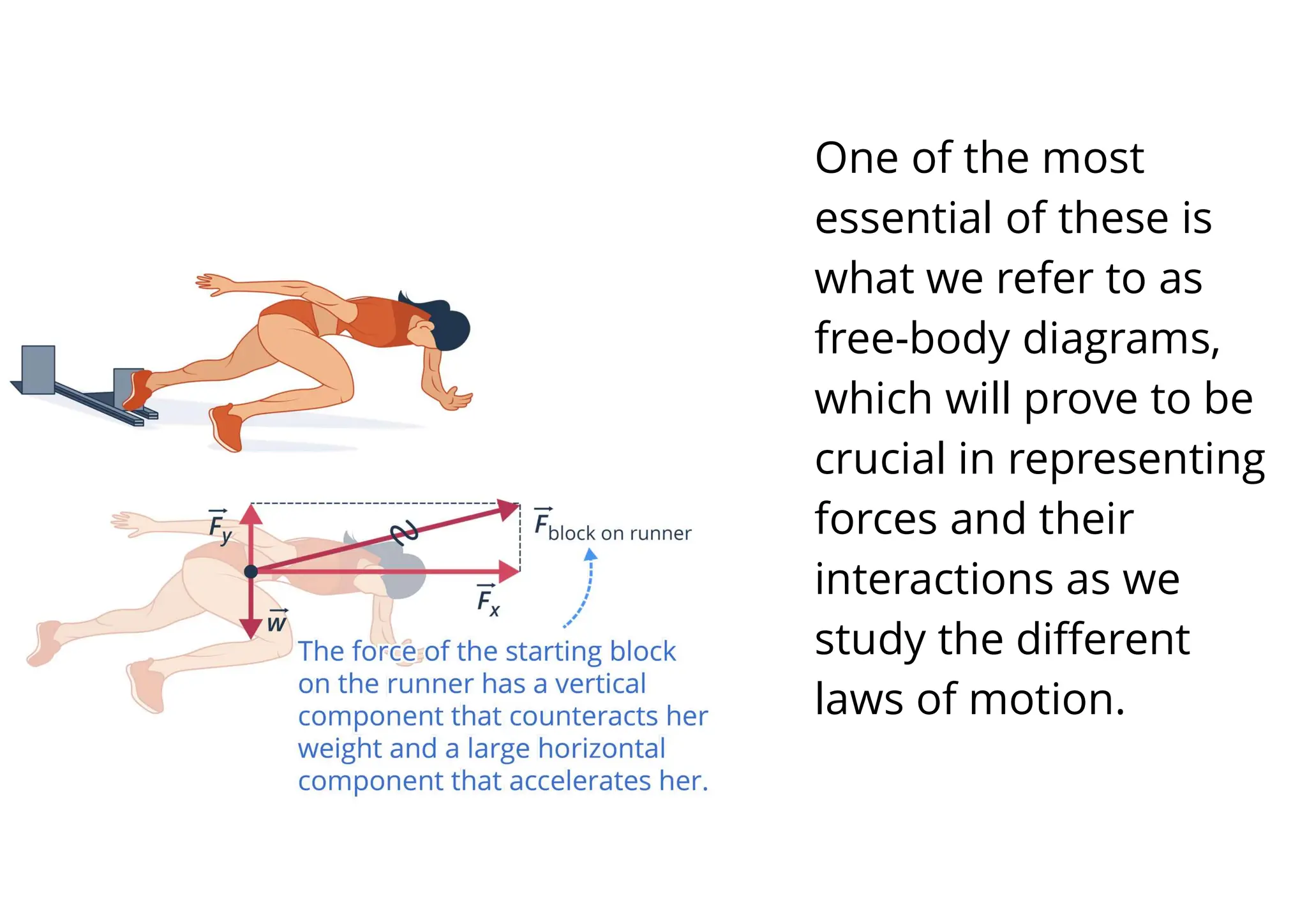 5
One of the most
essential of these is
what we refer to as
free-body diagrams,
which will prove to be
crucial in representing
forces and their
interactions as we
study the different
laws of motion.
 