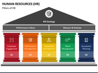 HUMAN RESOURCES (HR)
Pillars of HR
HR Strategy
Succession
Planning
Employee
Engagement
Performance
Management
Leadership
Development
Talent
Management
01 02 03 04 05
Performance Culture Measure & Evaluate
 