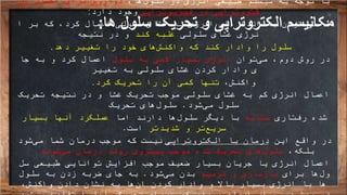 ‫مکانیسم‬‫الکتروتراپی‬‫ها‬ ‫سلول‬ ‫تحریک‬ ‫و‬:
،‫ها‬‫سلول‬ ‫در‬ ‫انرژی‬ ‫طبیعی‬ ‫سیستم‬ ‫به‬ ‫توجه‬ ‫با‬‫اعمال‬ ‫برای‬ ‫روش‬ ‫دو‬‫ال‬
‫فیزیوتراپی‬ ‫در‬ ‫کتروتراپی‬‫دارد‬ ‫وجود‬:
.1‫می‬‫ا‬ ‫بر‬ ‫که‬ ،‫کرد‬ ‫اعمال‬ ‫سلولی‬ ‫غشای‬ ‫به‬ ‫انرژی‬ ‫ای‬‫اندازه‬ ‫به‬ ‫توان‬
‫سلولی‬ ‫غشای‬ ‫نرژی‬‫کند‬ ‫غلبه‬‫در‬ ‫و‬‫نتیجه‬
‫دهد‬ ‫تغییر‬ ‫را‬ ‫خود‬ ‫های‬‫واکنش‬ ‫که‬ ‫کند‬ ‫وادار‬ ‫را‬ ‫سلول‬.
‫توان‬‫می‬ ،‫دوم‬ ‫روش‬ ‫در‬‫سلول‬ ‫به‬ ‫کمی‬ ‫بسیار‬ ‫انرژی‬‫جا‬ ‫به‬ ‫و‬ ‫کرد‬ ‫اعمال‬
‫تغییر‬ ‫به‬ ‫سلولی‬ ‫غشای‬ ‫کردن‬ ‫وادار‬ ‫ی‬
‫واکنش‬،‫کرد‬ ‫تحریک‬ ‫را‬ ‫آن‬ ‫کمی‬ ‫تنها‬.
‫تحریک‬ ‫نتیجه‬ ‫در‬ ‫و‬ ‫غشا‬ ‫تحریک‬ ‫موجب‬ ‫سلولی‬ ‫غشای‬ ‫به‬ ‫کم‬ ‫انرژی‬ ‫اعمال‬
‫شود‬‫می‬ ‫سلول‬.‫تحریک‬ ‫های‬‫سلول‬
‫شده‬‫رفتاری‬‫مشابه‬‫اما‬ ‫دارند‬ ‫ها‬‫سلول‬ ‫دیگر‬ ‫با‬‫بسیار‬ ‫آنها‬ ‫عملکرد‬
‫شدیدتر‬ ‫و‬ ‫تر‬‫سریع‬‫است‬.
‫این‬ ‫واقع‬ ‫در‬‫الکتروتراپی‬ ‫با‬ ‫درمان‬‫شود‬‫می‬ ‫شما‬ ‫درمان‬ ‫موجب‬ ‫که‬ ‫نیست‬
،‫بلکه‬‫شوند‬‫می‬ ‫درمان‬ ‫روند‬ ‫پیشروی‬ ‫موجب‬ ‫شده‬ ‫تحریک‬ ‫های‬‫سلول‬.
‫سل‬ ‫طبیعی‬ ‫توانایی‬ ‫افزایش‬ ‫موجب‬ ‫ضعیف‬ ‫بسیار‬ ‫جریان‬ ‫یا‬ ‫انرژی‬ ‫اعمال‬
‫برای‬ ‫ها‬‫ول‬‫ترمیم‬ ‫و‬ ‫بازسازی‬‫شود‬‫می‬ ‫بدن‬.‫سلول‬ ‫به‬ ‫زدن‬ ‫ضربه‬ ‫جای‬ ‫به‬
،‫واکنش‬ ‫دادن‬ ‫نشان‬ ‫به‬ ‫ها‬‫ان‬ ‫کردن‬ ‫وادار‬ ‫و‬ ‫باال‬ ‫بسیار‬ ‫انرژی‬ ‫با‬ ‫ها‬
 