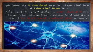 ‫طریق‬ ‫ز‬‫الکترودهای‬‫به‬ ‫متصل‬
‫پوست‬‫موجب‬ ‫که‬ ،‫میگردد‬ ‫ایجاد‬‫ها‬ ‫سلول‬ ‫تحریک‬‫و‬‫در‬‫منج‬ ‫نتیجه‬
‫به‬ ‫ر‬‫اعصاب‬ ‫تحریک‬‫میشود‬‫که‬
‫باعث‬‫کاهش‬‫اعصاب‬ ‫تمرکز‬‫شده‬ ‫درد‬ ‫های‬ ‫سیگنال‬ ‫به‬(‫سیگنا‬ ‫مسیر‬
‫شود‬ ‫می‬ ‫مسدود‬ ،‫روند‬ ‫می‬ ‫نخاع‬ ‫و‬ ‫مغز‬ ‫سمت‬ ‫به‬ ‫که‬ ‫عصبی‬ ‫های‬ ‫ل‬)
‫به‬ ‫منجر‬ ‫و‬‫درد‬ ‫ضد‬ ‫های‬ ‫هورمون‬ ‫و‬ ‫اندورفین‬ ‫ترشح‬‫بدن‬ ‫در‬
‫می‬‫شود‬‫ترتیب‬ ‫بدین‬ ‫و‬‫روشی‬ ‫با‬‫موثر‬ ‫و‬ ‫طبیعی‬‫مزمن‬ ‫دردهای‬ ،
‫تسکین‬ ‫بدن‬‫میابد‬.
 