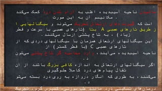 ‫مالیدن‬‫به‬ ‫اغلب‬ ‫دیده‬‫آسیب‬ ‫ناحیه‬‫درد‬ ‫شدن‬ ‫آرام‬‫کند‬‫می‬ ‫کمک‬
.‫این‬ ‫به‬ ‫آن‬ ‫مکانیسم‬‫صورت‬
‫که‬ ‫است‬‫های‬‫گیرنده‬‫تحریک‬ ‫ارتعاش‬‫و‬ ‫شوند‬‫می‬‫ا‬ ‫سیگنالهایی‬
‫عصبی‬ ‫تارهای‬ ‫طریق‬ ‫ز‬A‫بتا‬(‫قطر‬ ‫و‬ ‫سرعت‬ ‫با‬ ‫عصبی‬ ‫تارهای‬
‫زیاد‬)‫کنند‬‫می‬ ‫ارسال‬ ‫پشتی‬ ‫شاخ‬ ‫به‬ ،.
‫از‬ ‫که‬ ‫دردی‬ ‫سیگنالهای‬ ‫با‬ ‫همزمان‬ ‫ارتعاش‬ ‫سیگنالهای‬ ‫این‬
‫تارهای‬‫عصبی‬C(‫با‬‫کمتر‬ ‫قطر‬)‫از‬
‫دیده‬‫آسیب‬ ‫ناحیه‬،‫آیند‬‫می‬‫پشتی‬ ‫شاخ‬ ‫گر‬ ‫محاسبه‬ ‫وارد‬‫شون‬‫می‬
‫د‬.
‫اندازه‬ ‫به‬ ‫ارتعاش‬ ‫سیگنالهای‬ ‫اگر‬‫بزرگ‬ ‫کافی‬‫ان‬ ‫از‬ ‫باشند‬
‫جلوگیری‬ ً‫کامال‬ ‫درد‬ ‫های‬‫پیام‬ ‫تقال‬
‫کنند‬‫می‬،‫به‬‫شو‬‫می‬ ‫بسته‬ ‫درد‬ ‫روی‬ ‫به‬ ‫دروازه‬ ‫انگار‬ ‫که‬ ‫طوری‬
‫د‬.
‫های‬‫درمان‬،‫گرم‬ ‫کمپرس‬ ،‫سوزنی‬ ‫طب‬ ‫مانند‬ ‫درد‬ ‫تسکینی‬‫تحریک‬
 