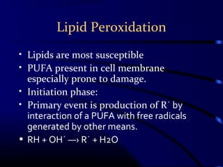 Lipid Peroxidation
• Lipids are most susceptible
• PUFA present in cell membrane
especially prone to damage.
• Initiation phase:
• Primary event is production of R˙ by
interaction of a PUFA with free radicals
generated by other means.
• RH + OH˙ ―› R˙ + H2O
 