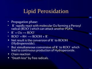 Lipid Peroxidation
• Propagation phase:
• R˙ rapidly react with molecular O2 forming a Peroxyl
radical (ROO˙) which can attack another PUFA.
• R˙ + O2 ―› ROO˙
• ROO˙ + RH ―› ROOH + R˙
• Net result is the conversion of R˙ to ROOH
(Hydroperoxide).
• But simultaneous conversion of R˙ to ROO˙ which
lead to continuous production of Hydroperoxide.
• Chain reaction
• “Death kiss” by free radicals.
 
