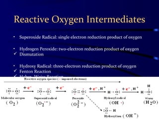 Reactive Oxygen Intermediates
• Superoxide Radical: single electron reduction product of oxygen
• Hydrogen Peroxide: two-electron reduction product of oxygen
 Dismutation
• Hydroxy Radical: three-electron reduction product of oxygen
 Fenton Reaction
 Haber- Weiss Reaction
 