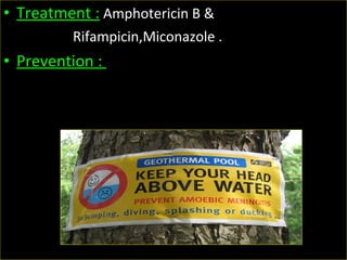 • Treatment : Amphotericin B &
Rifampicin,Miconazole .
• Prevention :
 