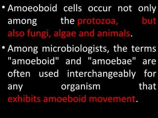 • Amoeoboid cells occur not only
among the protozoa, but
also fungi, algae and animals.
• Among microbiologists, the terms
"amoeboid" and "amoebae" are
often used interchangeably for
any organism that
exhibits amoeboid movement.
 