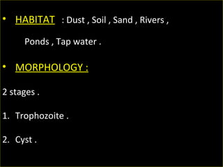 • HABITAT : Dust , Soil , Sand , Rivers ,
Ponds , Tap water .
• MORPHOLOGY :
2 stages .
1. Trophozoite .
2. Cyst .
 