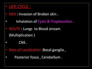 • LIFE CYCLE :
• MOI : Invasion of Broken skin .
• Inhalation of Cysts & Trophozoites .
• ROUTE : Lungs to Blood stream
(Multiplication )
• CNS .
• Sites of Localisation :Basal ganglia ,
• Posterior fossa , Cerebellum .
 