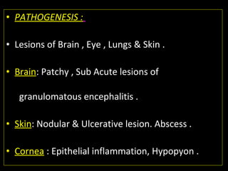 • PATHOGENESIS :
• Lesions of Brain , Eye , Lungs & Skin .
• Brain: Patchy , Sub Acute lesions of
granulomatous encephalitis .
• Skin: Nodular & Ulcerative lesion. Abscess .
• Cornea : Epithelial inflammation, Hypopyon .
 