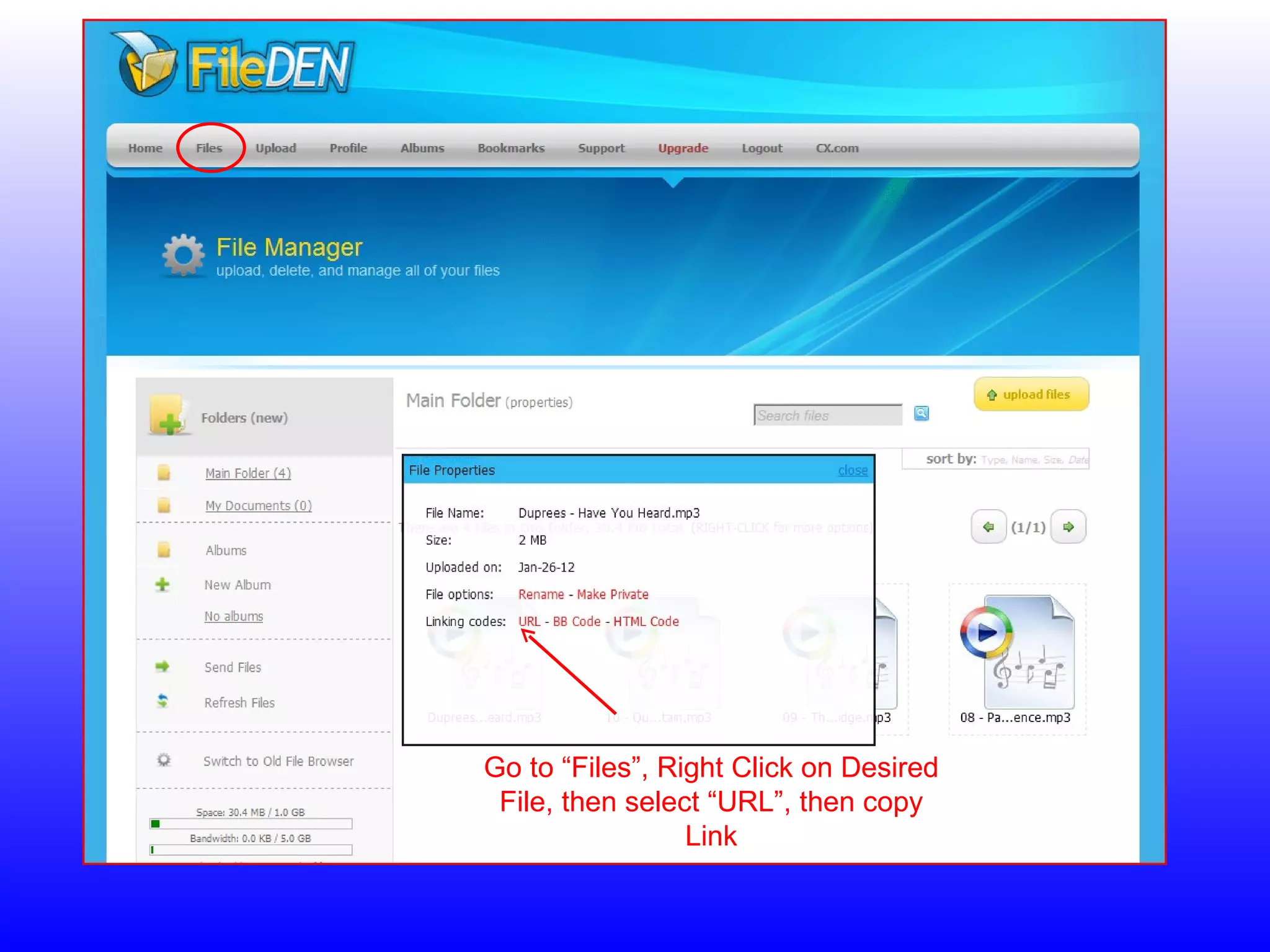 Go to “Files”, Right Click on Desired File, then select “URL”, then copy Link 